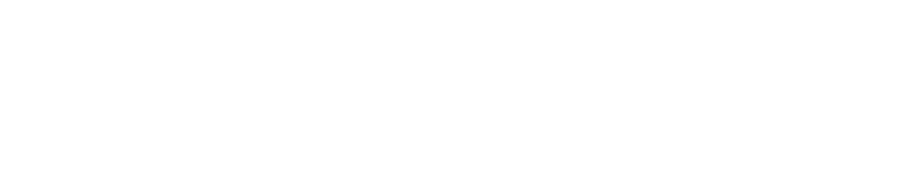 Ecombooster